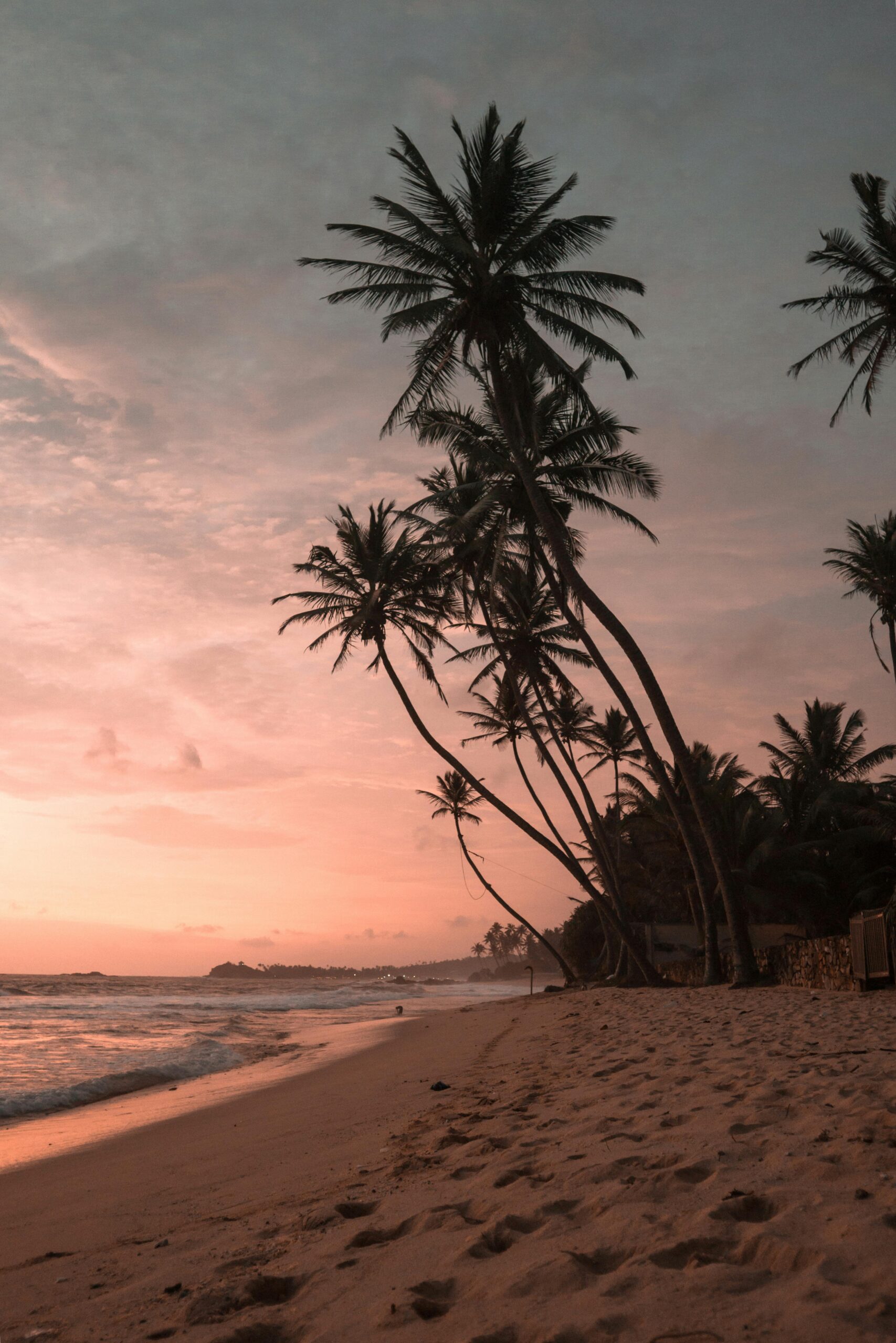 Experience the tranquil beauty of a sunset on the sandy shores of Sri Lanka, with iconic palm silhouettes.