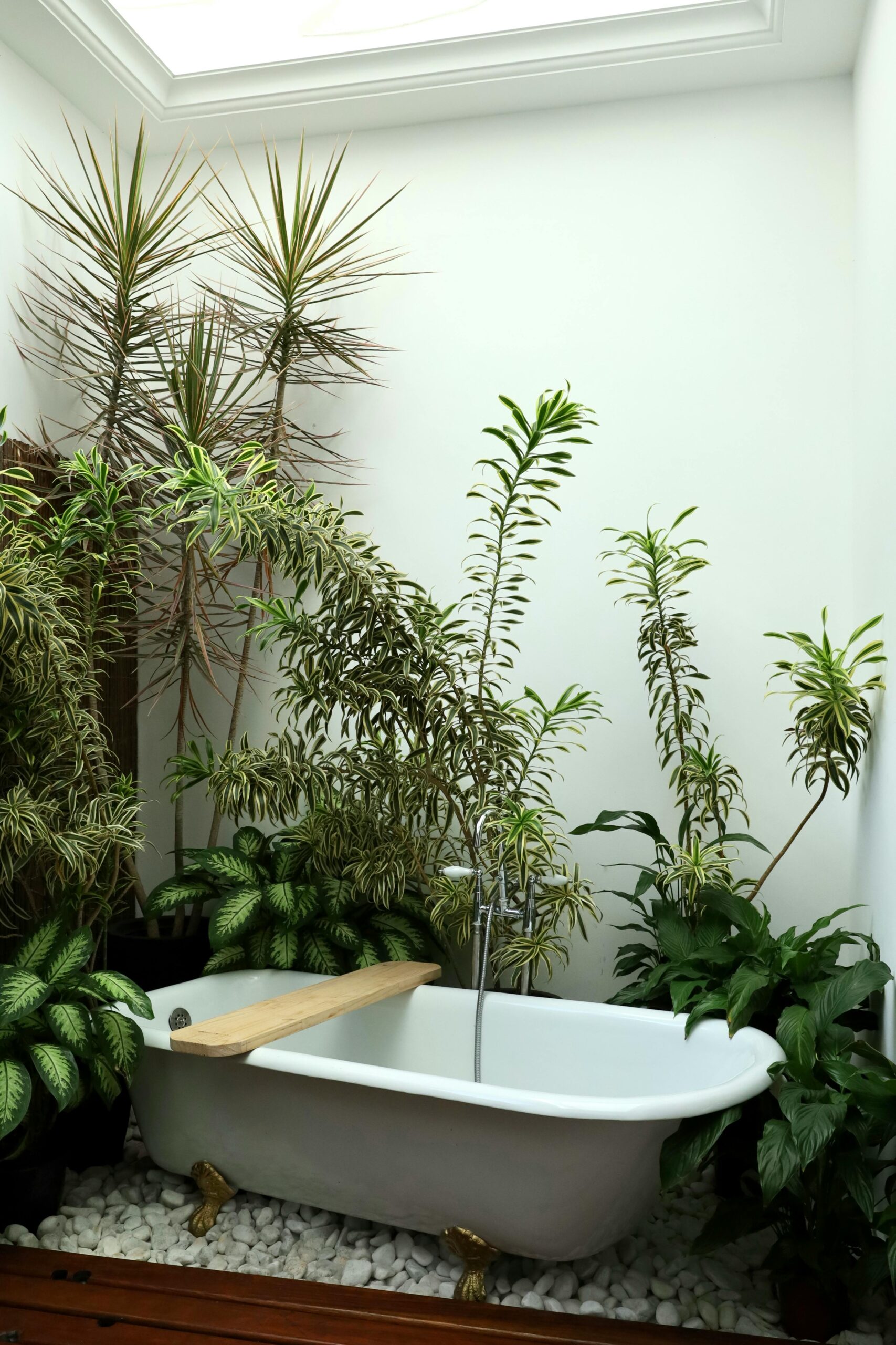 Elegant white bathtub nestled among vibrant indoor plants in a serene, spa-like setting.